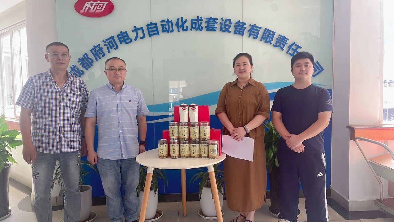 夏日送清凉 情系一线心——府河电力开展2025年防暑降温慰问活动